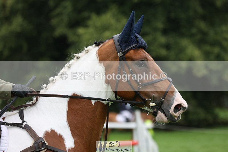 230805-102149-00271 - SJ 10 to 11