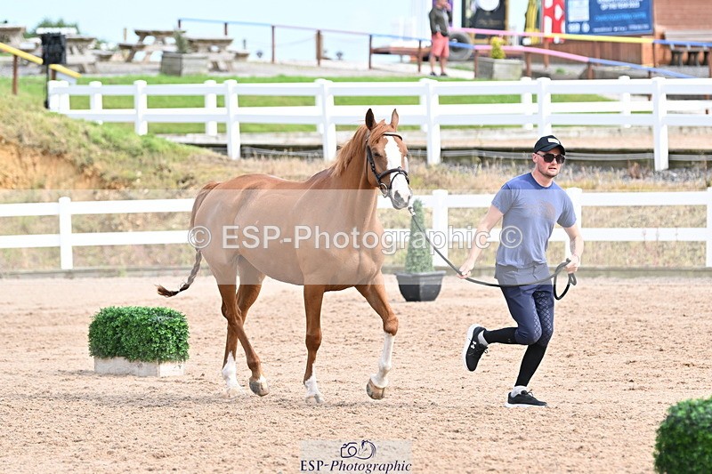 240717A-164306-03496 - Trot Up 4pm to 5pm