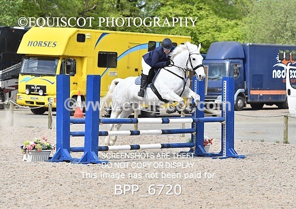 BPP_6720 - CLASS 2 FRI Club/ Unaffiliated 80cms Open