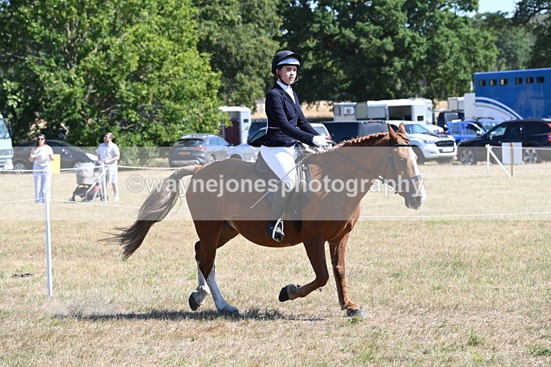 WJ6_8345 - Class 37a Best Loan Pony Ridden