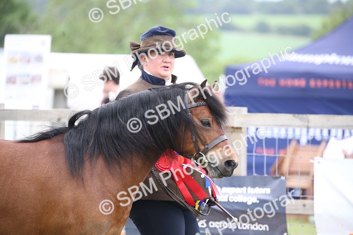 SBM_09714 - Ch 50 - Price Family Supreme In Hand