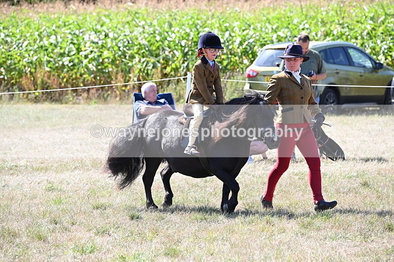 WJ6_8092 - Class 36 Lead Rein