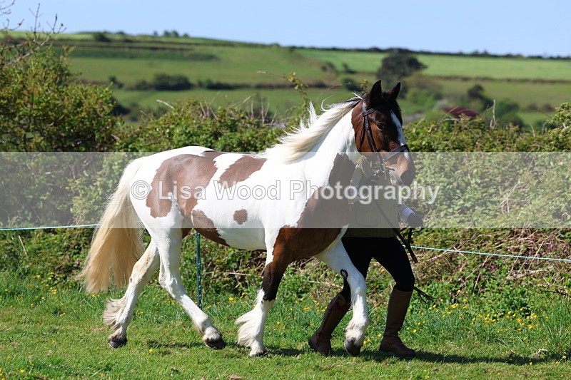 3E7A9353 - Class 16: Best Grass Kept