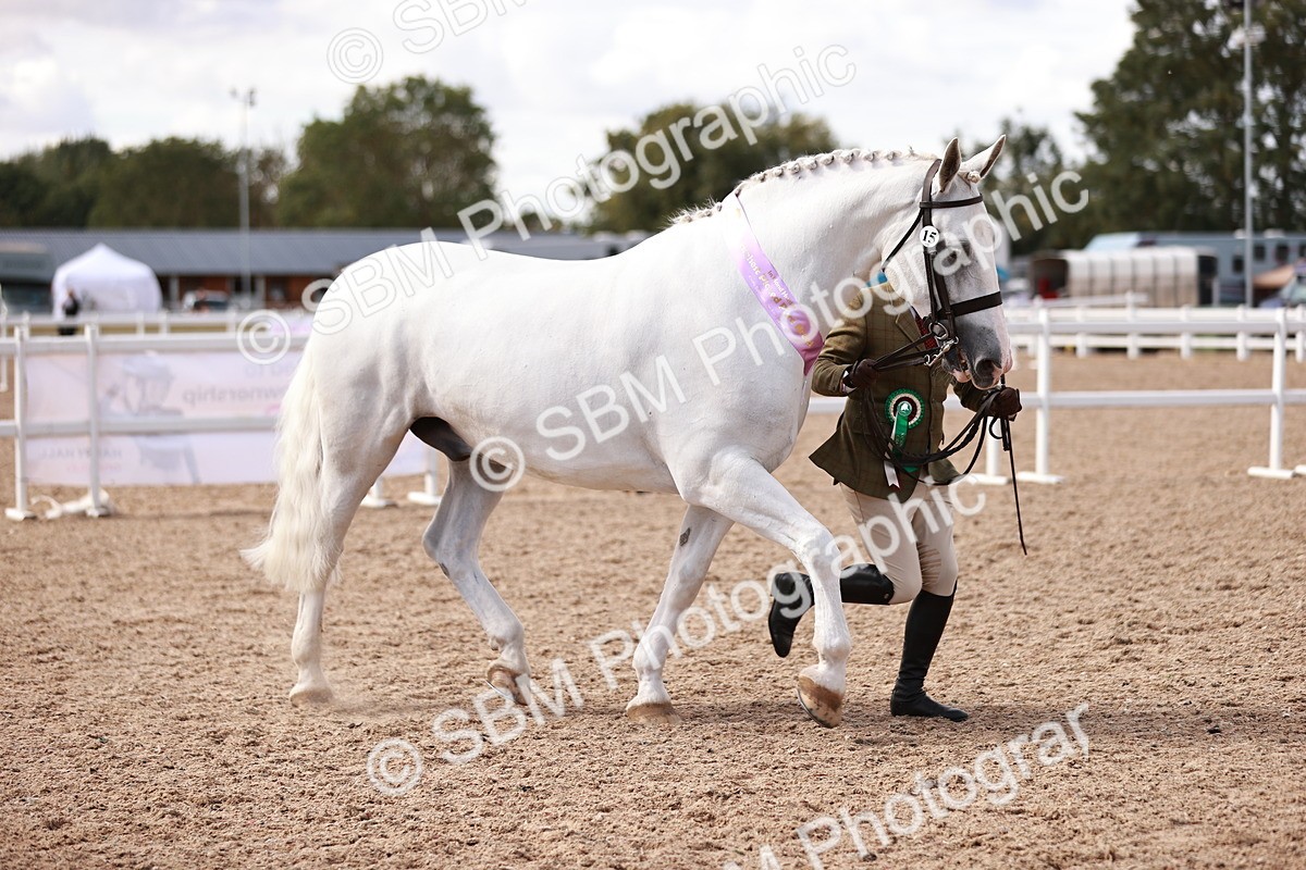 SBM_13383 - class 406 - IH Hunter