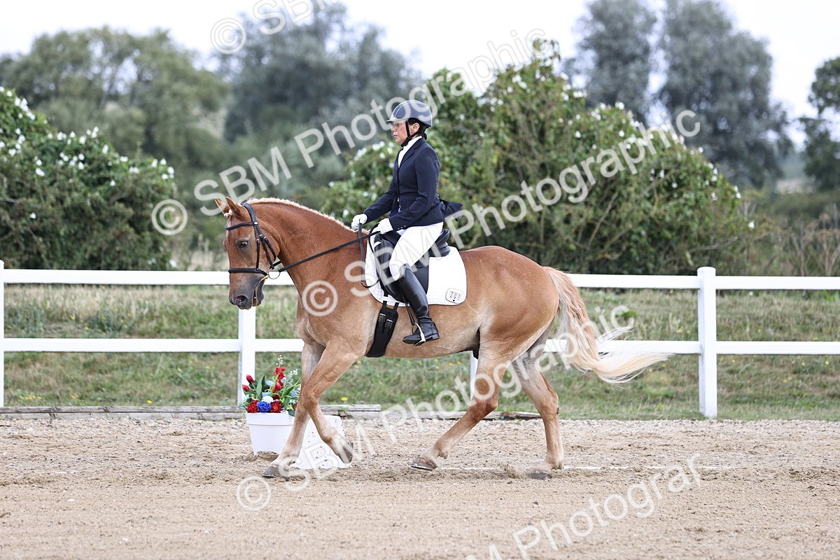 SBM_016766 - Class 14 Novice 23 - 11.53-12.56