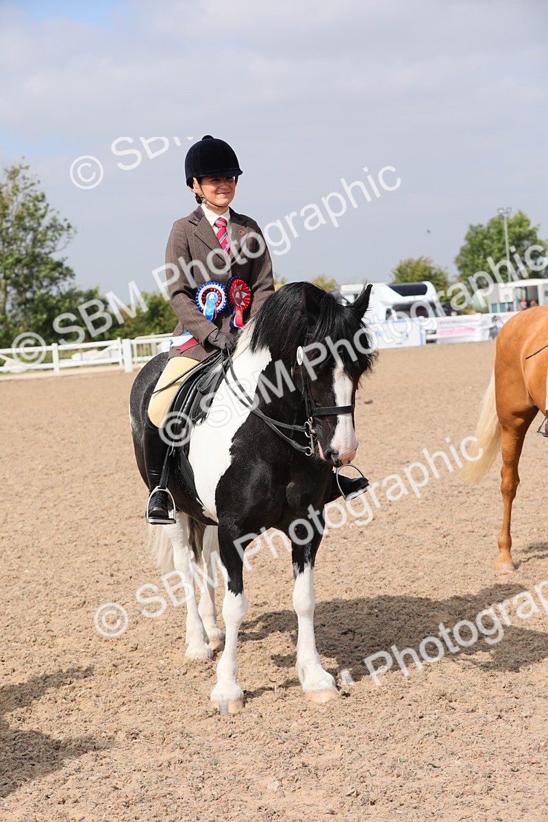 SBM_12850 - Class 307 Ridden Coloured Pony