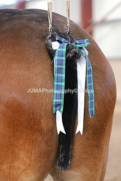 SIAL0244 - Indoor Classes