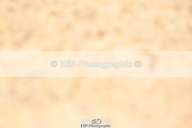 230813-100937-06042 - Cls 12 Elem Silver Start to 10.10 break