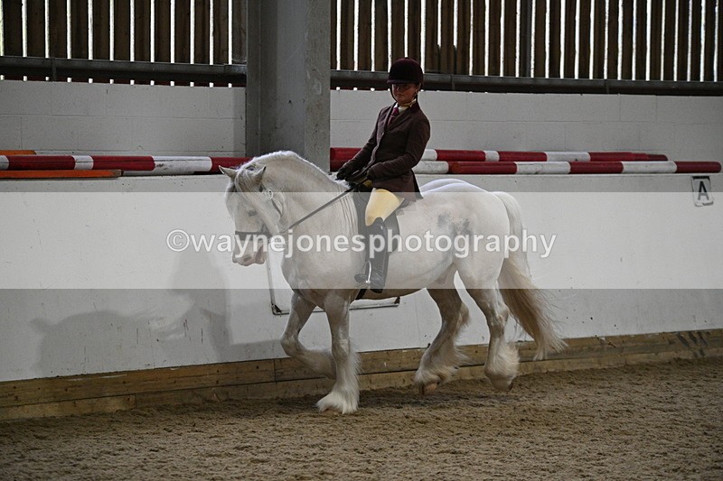 WJ7_4193 - Class 17 Ridden Cob