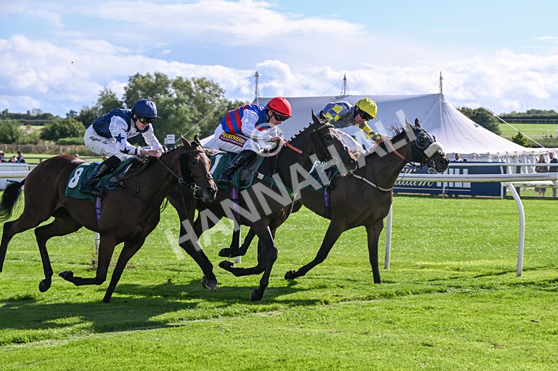080926-Race 4-Kings Merchant-2521 - Race 4 3.36pm Fifth Regiment Royal Artillery Handicap (Div II)