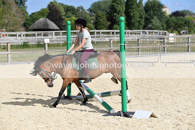 WJ5_5581 - Poles off the floor