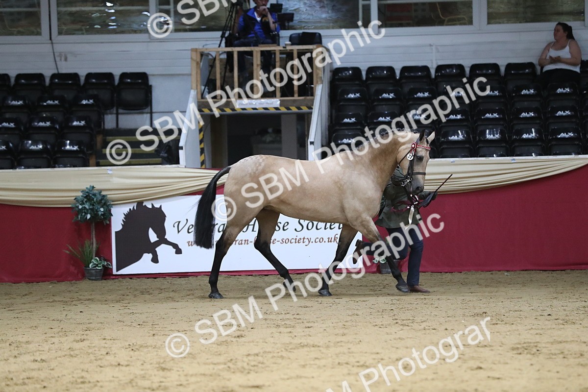 SBM_05066 - Class 8R- Regional -IH Veteran