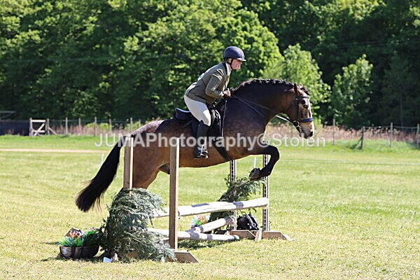 IMG_4035 - Working Hunter