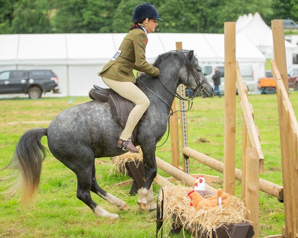 Dunblane show-61 - Dunblane and Doune Show Ring 1