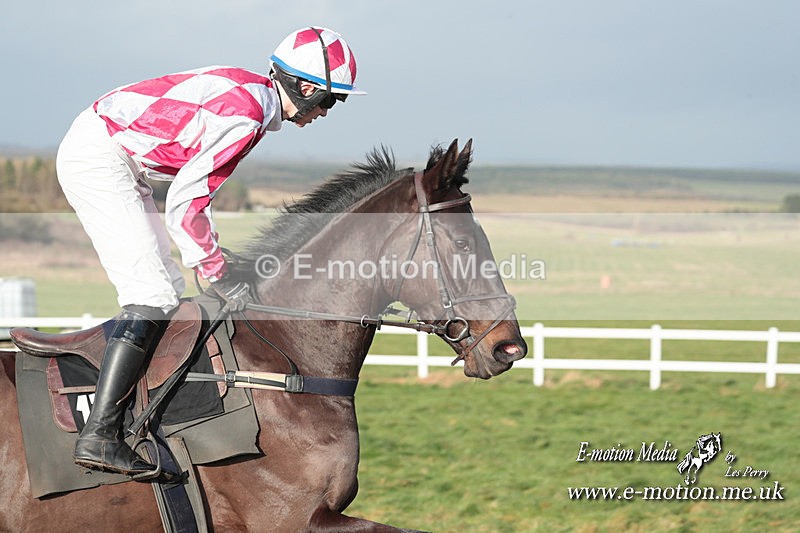 PtP 311223 461 - Larkhill Racing Club Point-to-Point 31/12/23