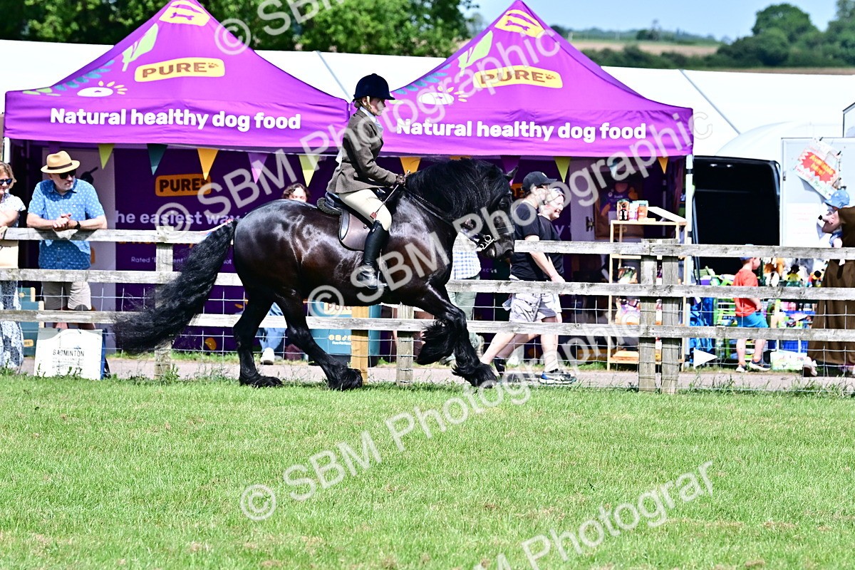 SBM_07995 - Class 61-62 - TSR  M&M Ridden Amateur of the Year