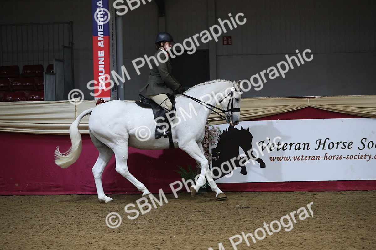 SBM_10353 - Class 102 Equitation (best rider) Adult