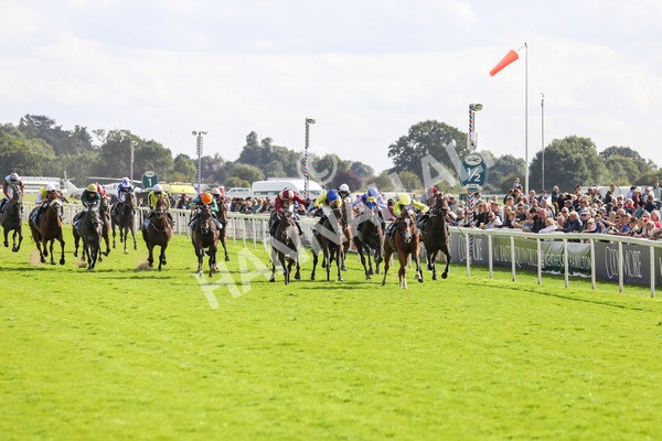 230824-Race 5-Canoodled-8487 - Race 5 4.10pm Assured Data Protection EBF Fillies' Handicap