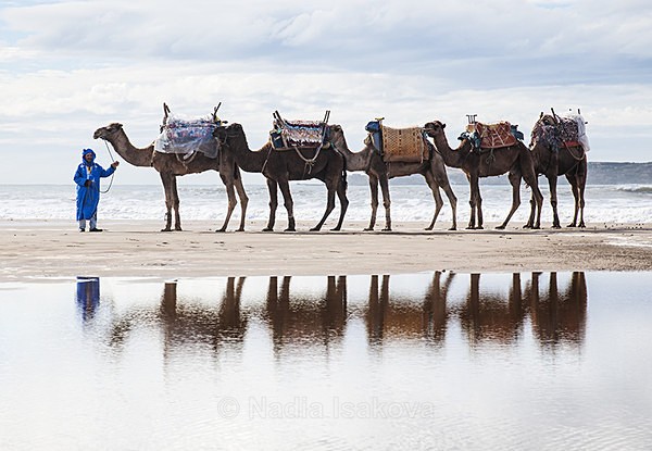  - Morocco
