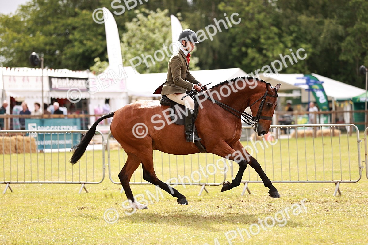 SBM_11563 - Class 81-84 - RIHS Ridden hunters Inc Ladies Hunter