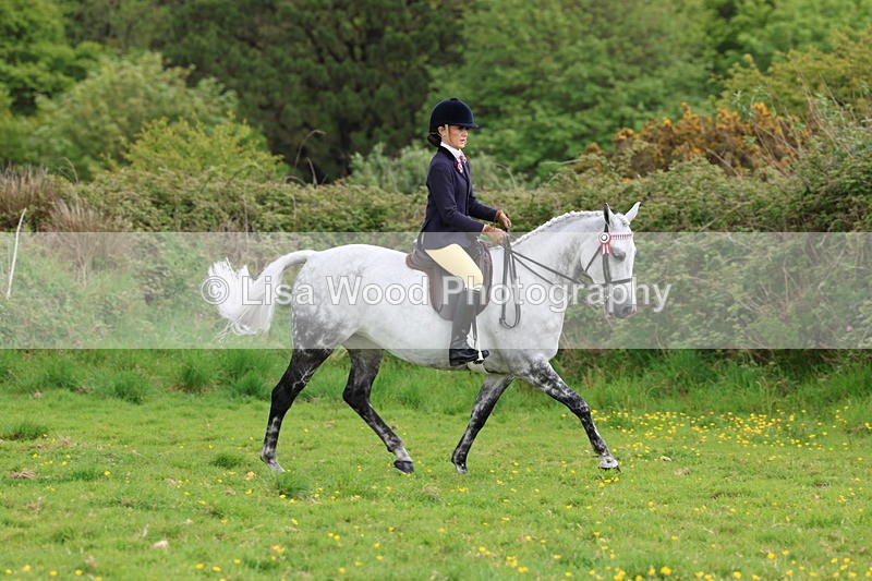 3E7A2068 - Class 11: Ridden Arab