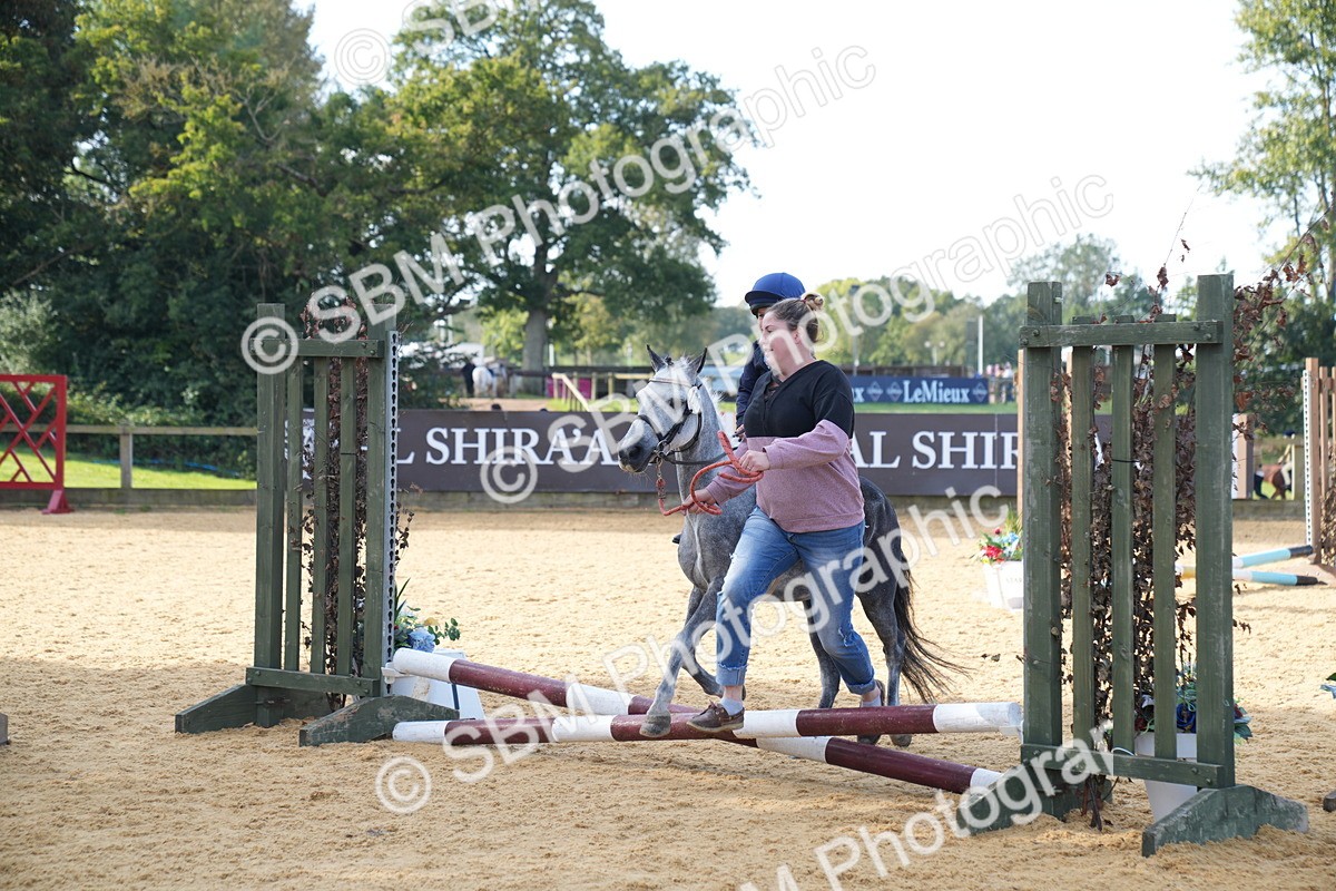 SBM_61362 - J1 - Mini Tour Junior Pony Lead Rein 30cm Championship