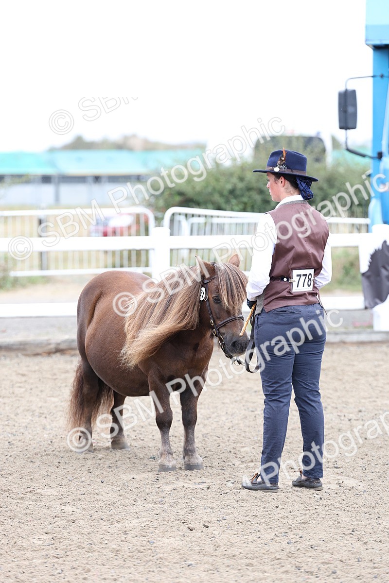 SBM_00050 - Class 50 - Best Turned Out IH