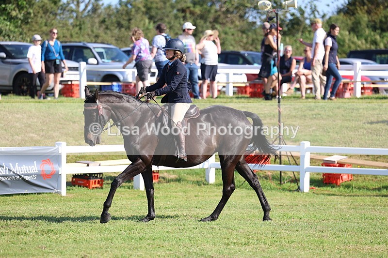 3E7A5608 - Class 2: Rising Star Large Hack/Riding Horse