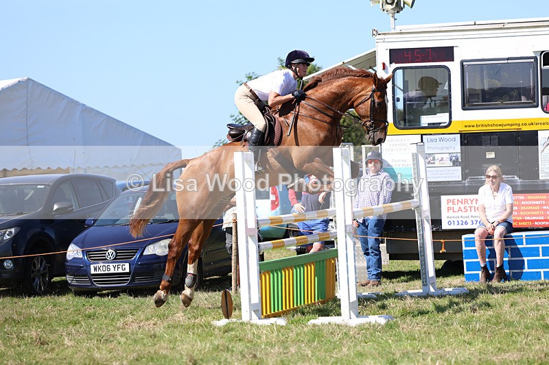 3E7A6457 - Class 13: Senior Newcomers/1.10m open