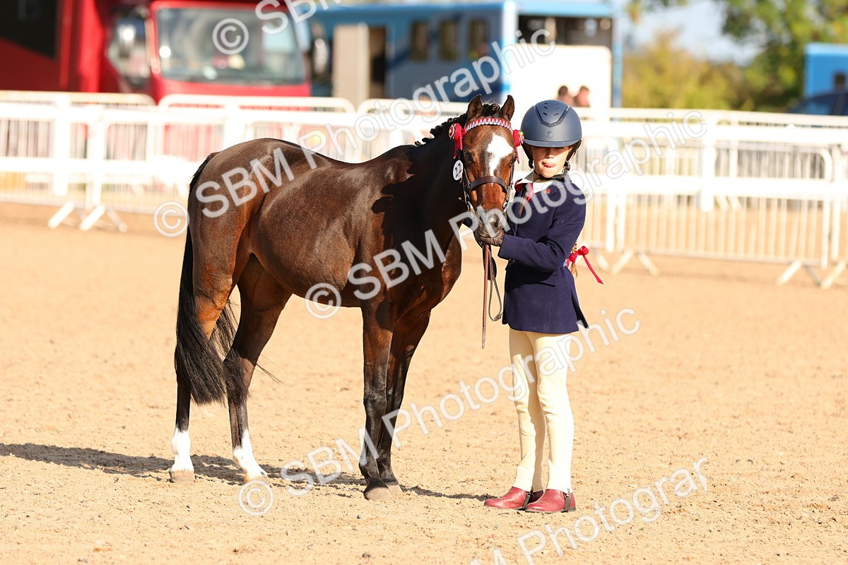 SBM_08666 - Class 203 - Young Handler 10 Years and Under