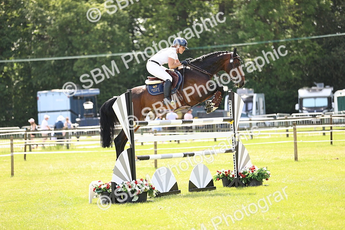SBM_03950 - Class 201 - British Horse Feedds Speedi Beet HOYS Grade C