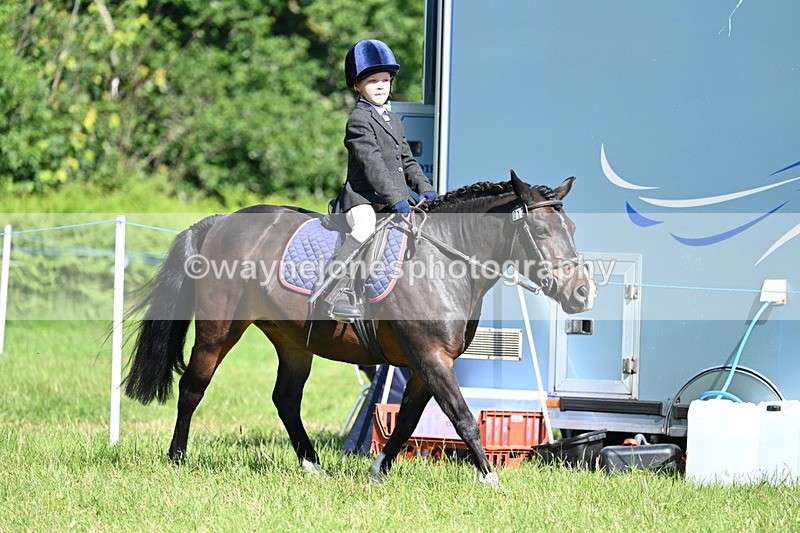 WJ7_0606 - Class 8 First Rally Pony