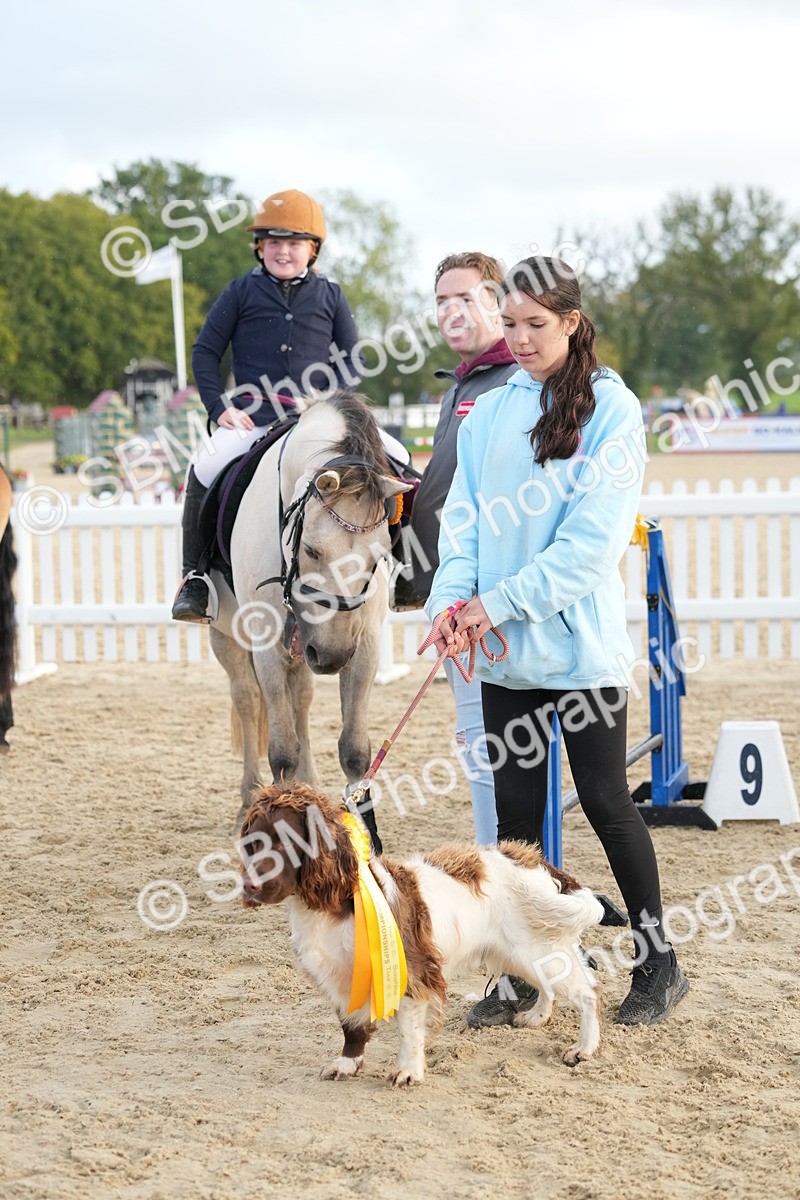 SBM_29236 - J43 - Horse & Hound Open 50cm