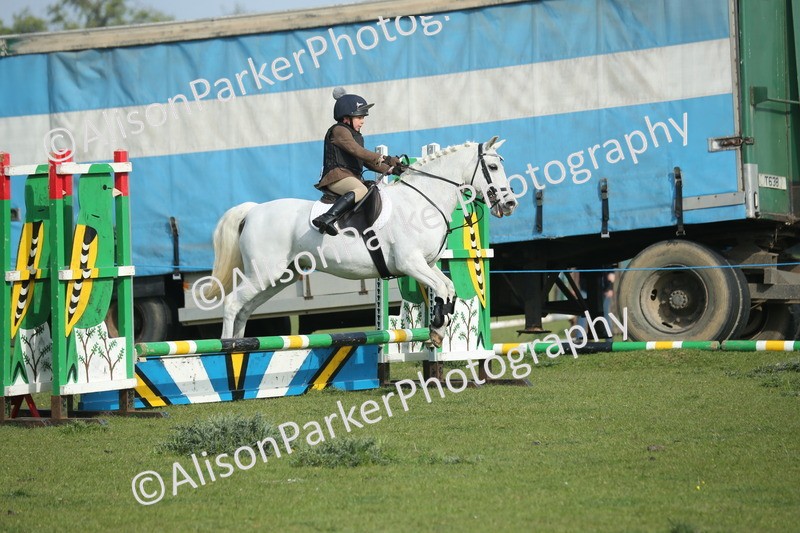 20260426-0126 - Class 13 - Rookie Jumping 50cm
