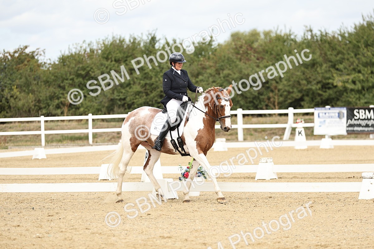 SBM_007329 - Class 25 - FEI PSG Bronze