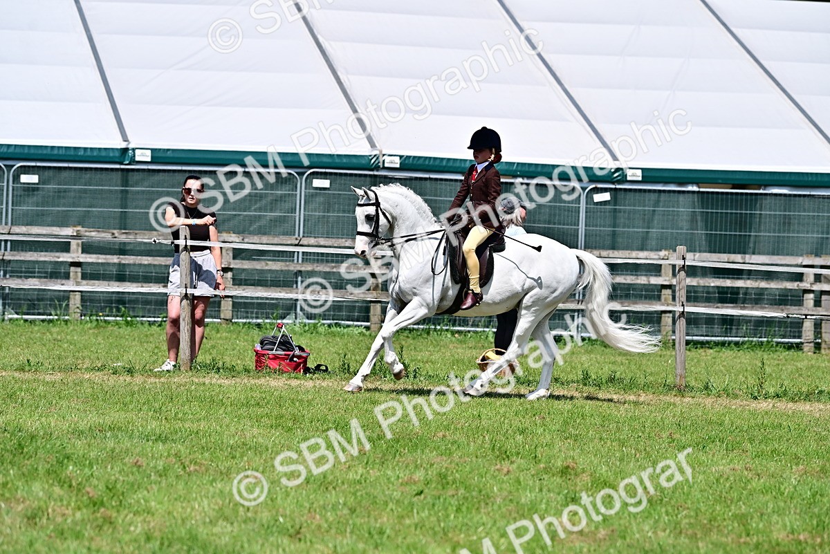 SBM_15305 - Class 95-97 - BSPS LHS Performance Ponies
