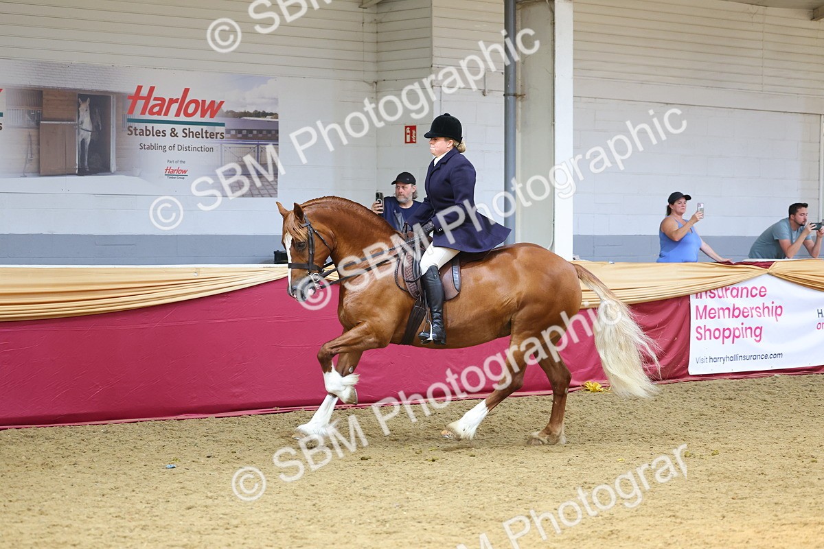 SBM_24571 - Class 906 - Supreme Final - Ridden Pre Vet