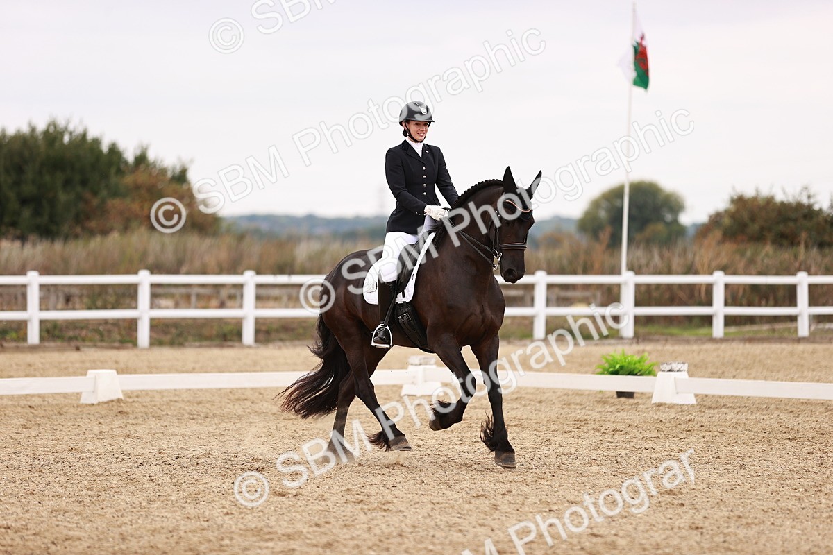 SBM_020209 - Class 22 - Advanced Medium 5