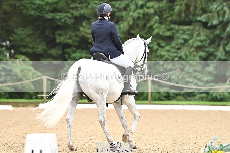 240811-110306-05075 - 164-Amelia.Struel-Tanzanite.Silver.Lining