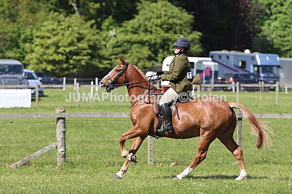 IMG_4573 - Working Hunter