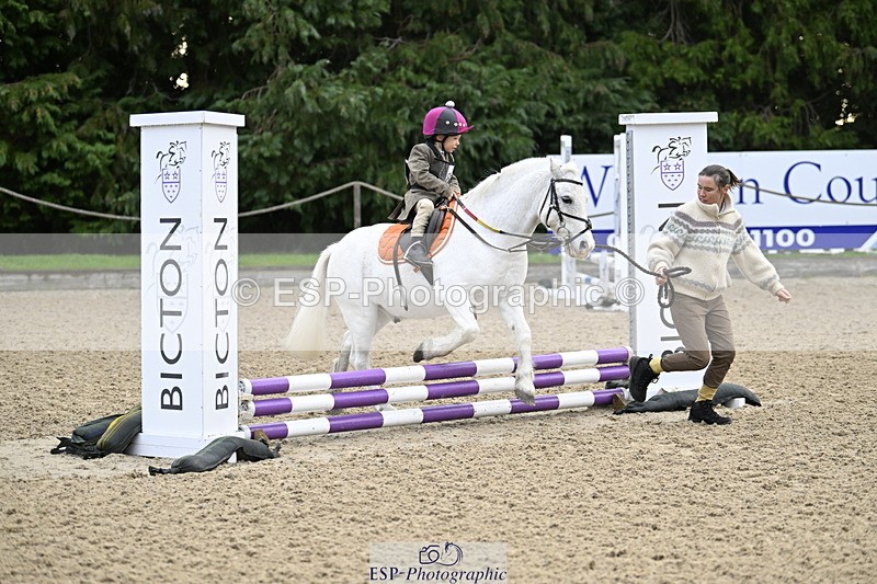 251005A-080331-02699 - Cls 01 GR 40cm