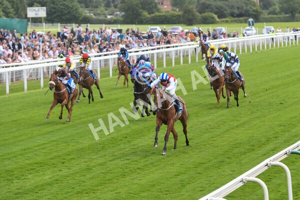 yr10062022r2-20 - Race 2 2.30pm SKF Rous Selling Stakes