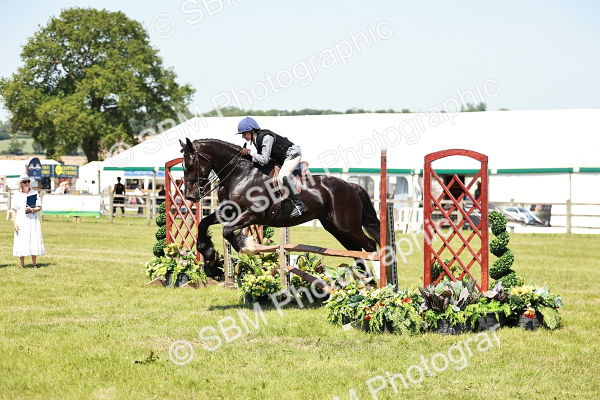 SBM_17361 - Class 110-111 - Training Stakes (70cms 80cms)