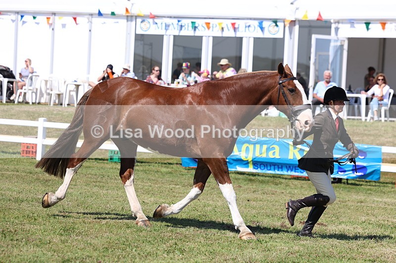 3E7A7365 - Class 5: Rising Star Lightweight/Heavyweight/Maxi Cobs