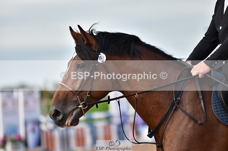 230810A-093538-00105 - Cls 8 British Novice & 90cm Open
