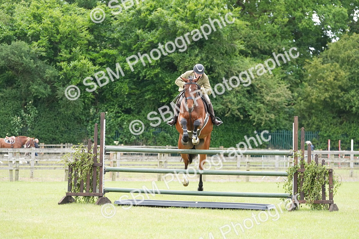 SBM_14950 - Class 100-102 - RIHS Working Hunter