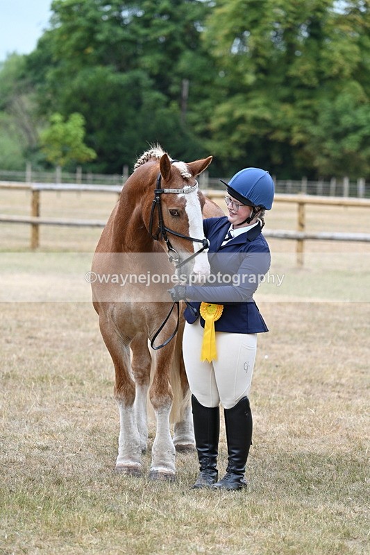 WJ7_0177 - Class 5a Most Handsome Gelding (above 14.2hh)