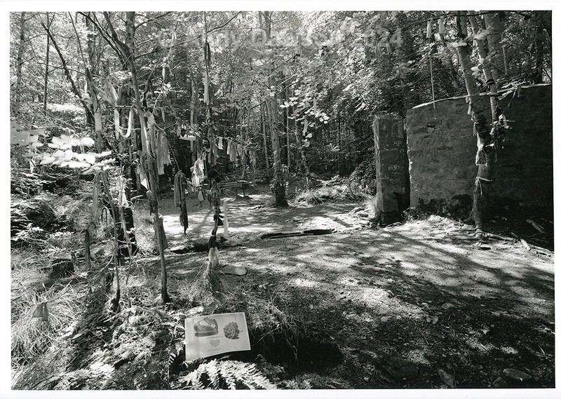 Clootie Well - Votive Offerings Exhibition