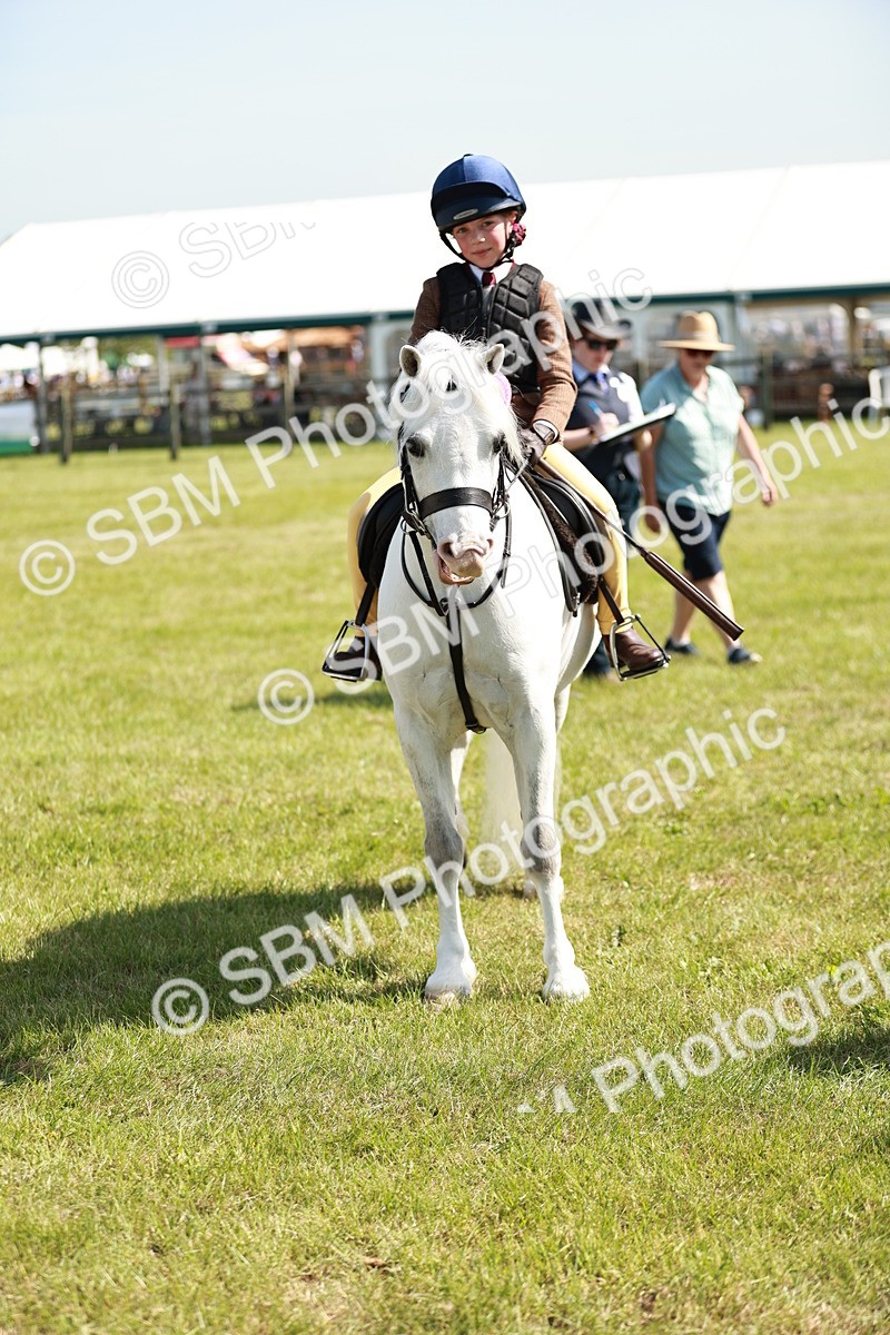 SBM_12807 - Class 106-107 - BSPS LIHS Working Sports Pony