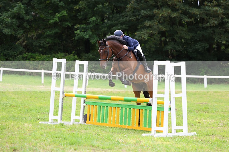 3E7A7379 - Class 5: Senior British Novice/90cm open